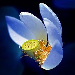 IO互动：《Project 007》是终极间谍幻想